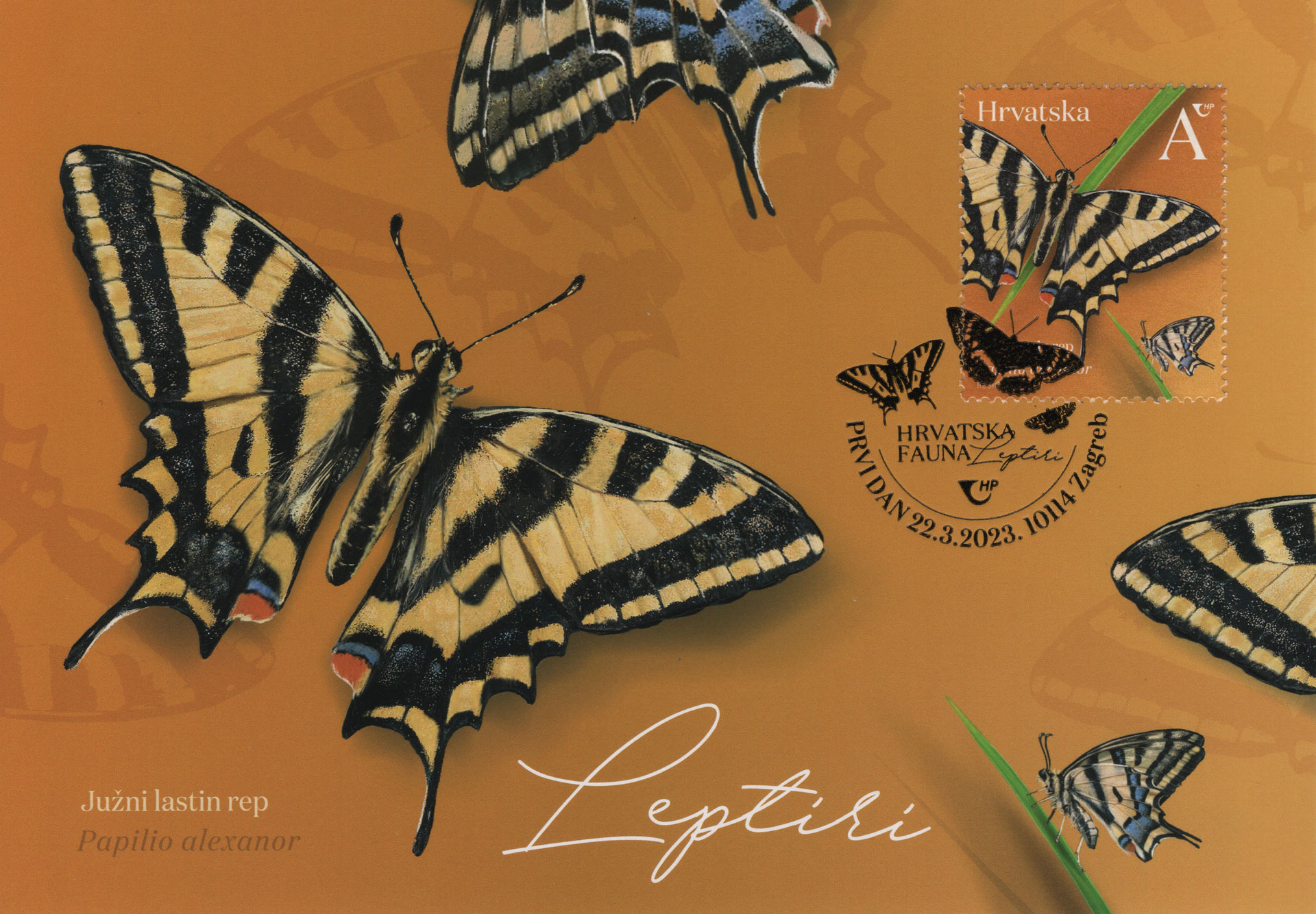 Papilio