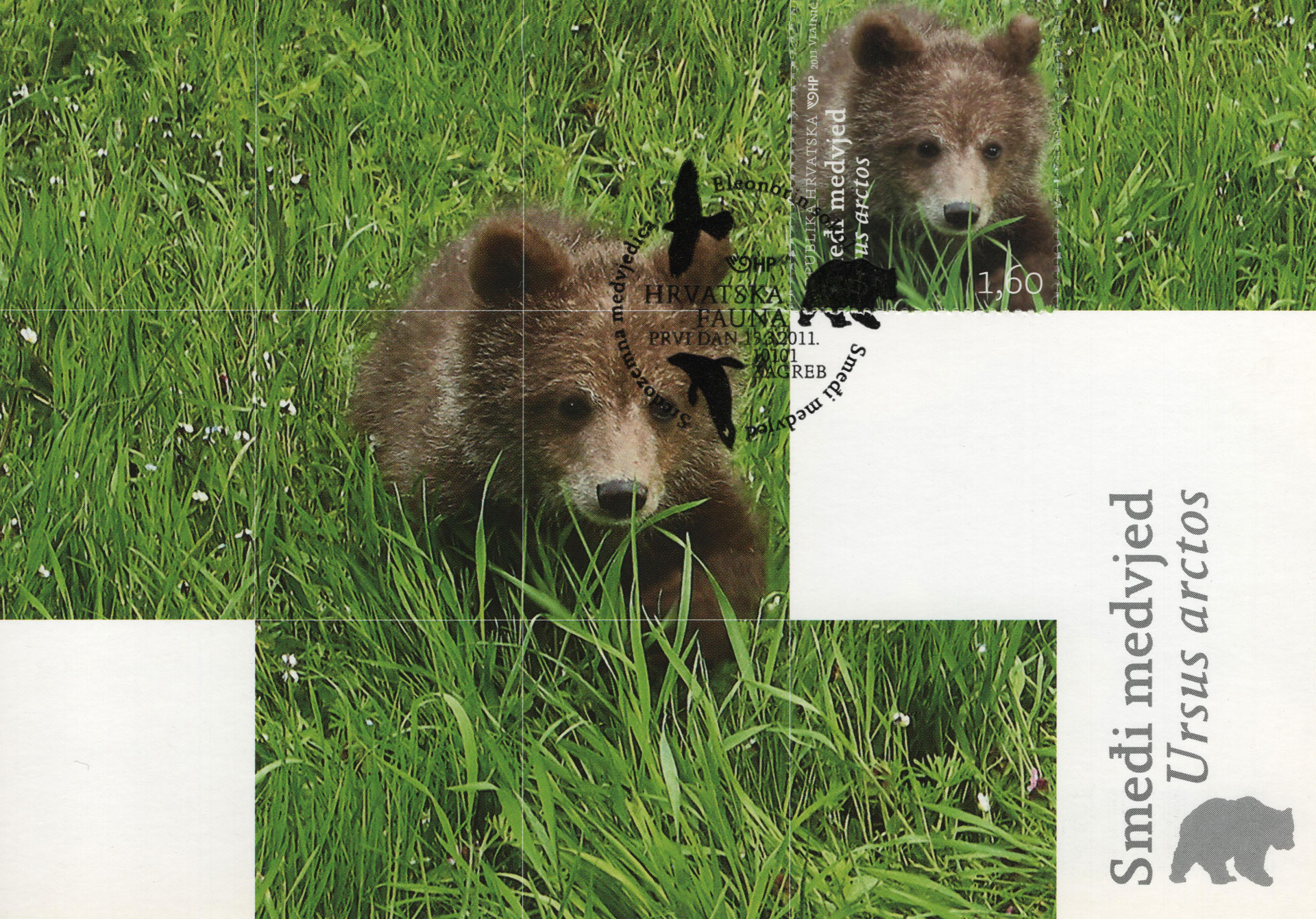 Ursus