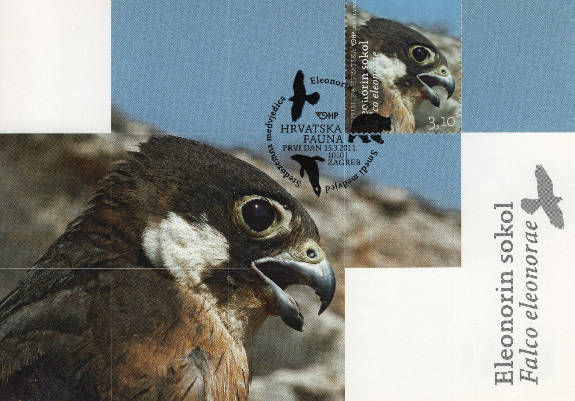 Falco