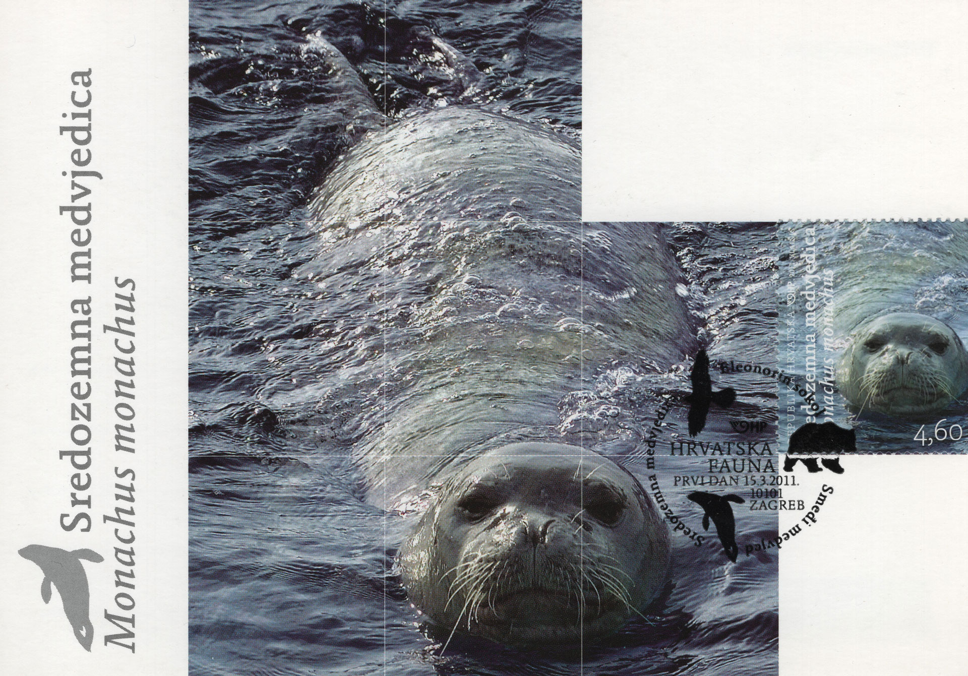 Monachus