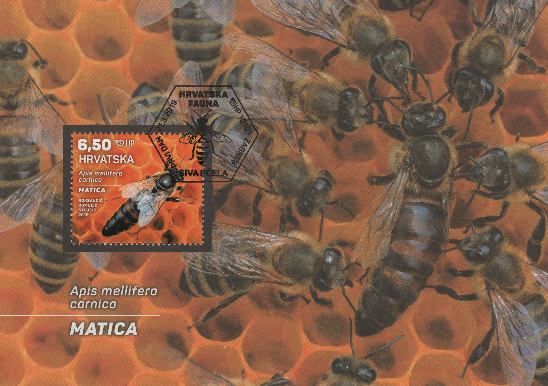 Apis
