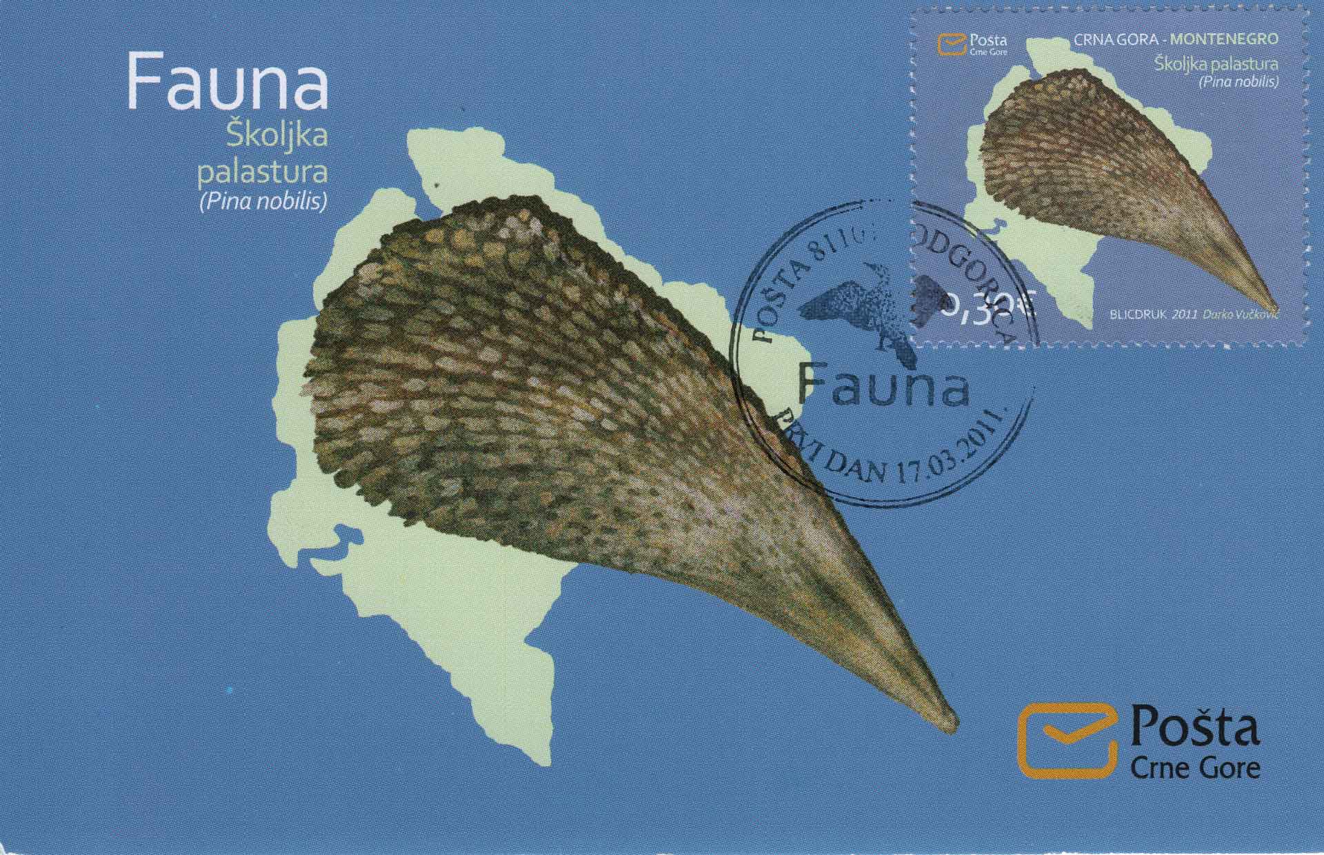 Pinna