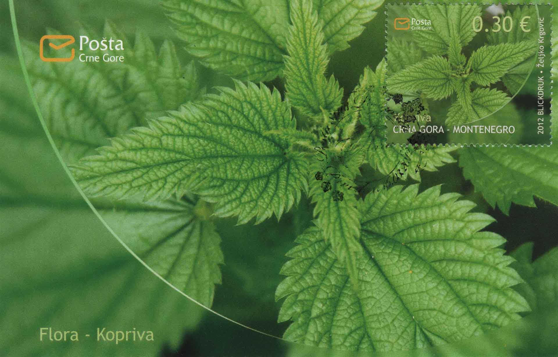 Urtica